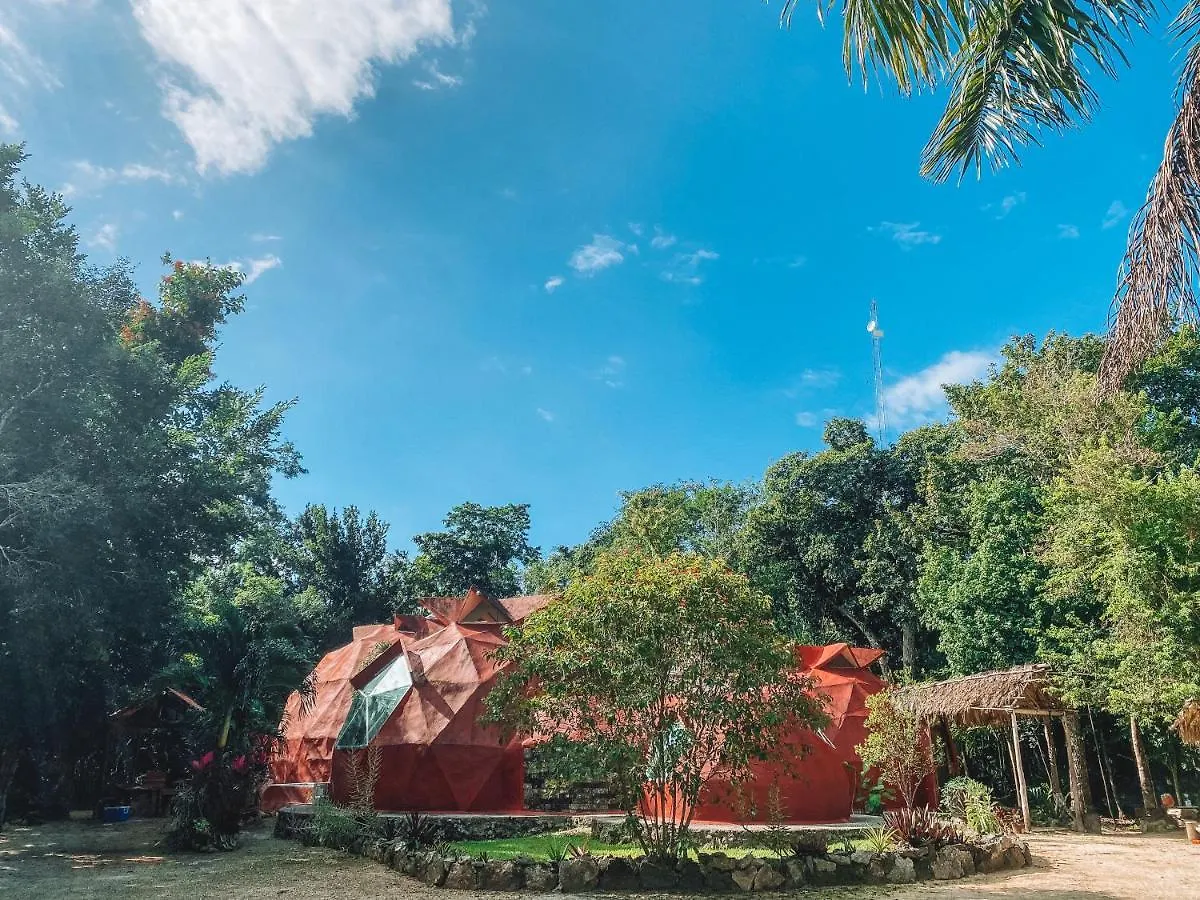 Campsite El Mexico Jungle Camping Mexico